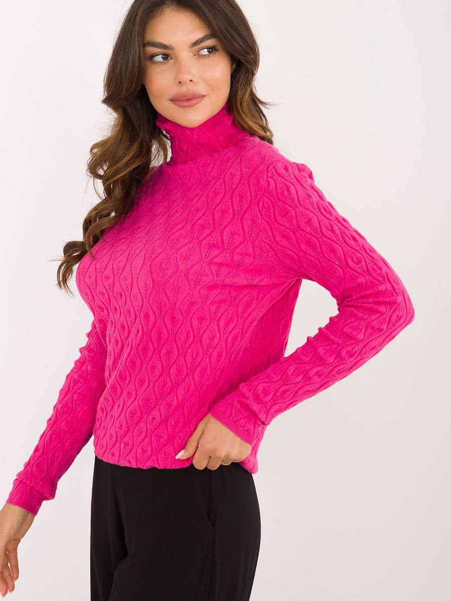Turtleneck model 203190 AT