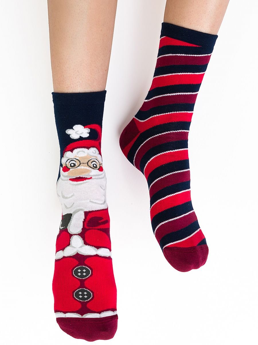 Socks model 173247 Steven