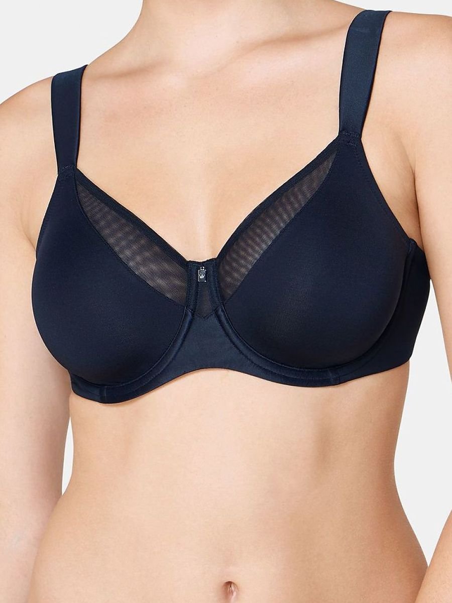 Soft model 229361 Triumph