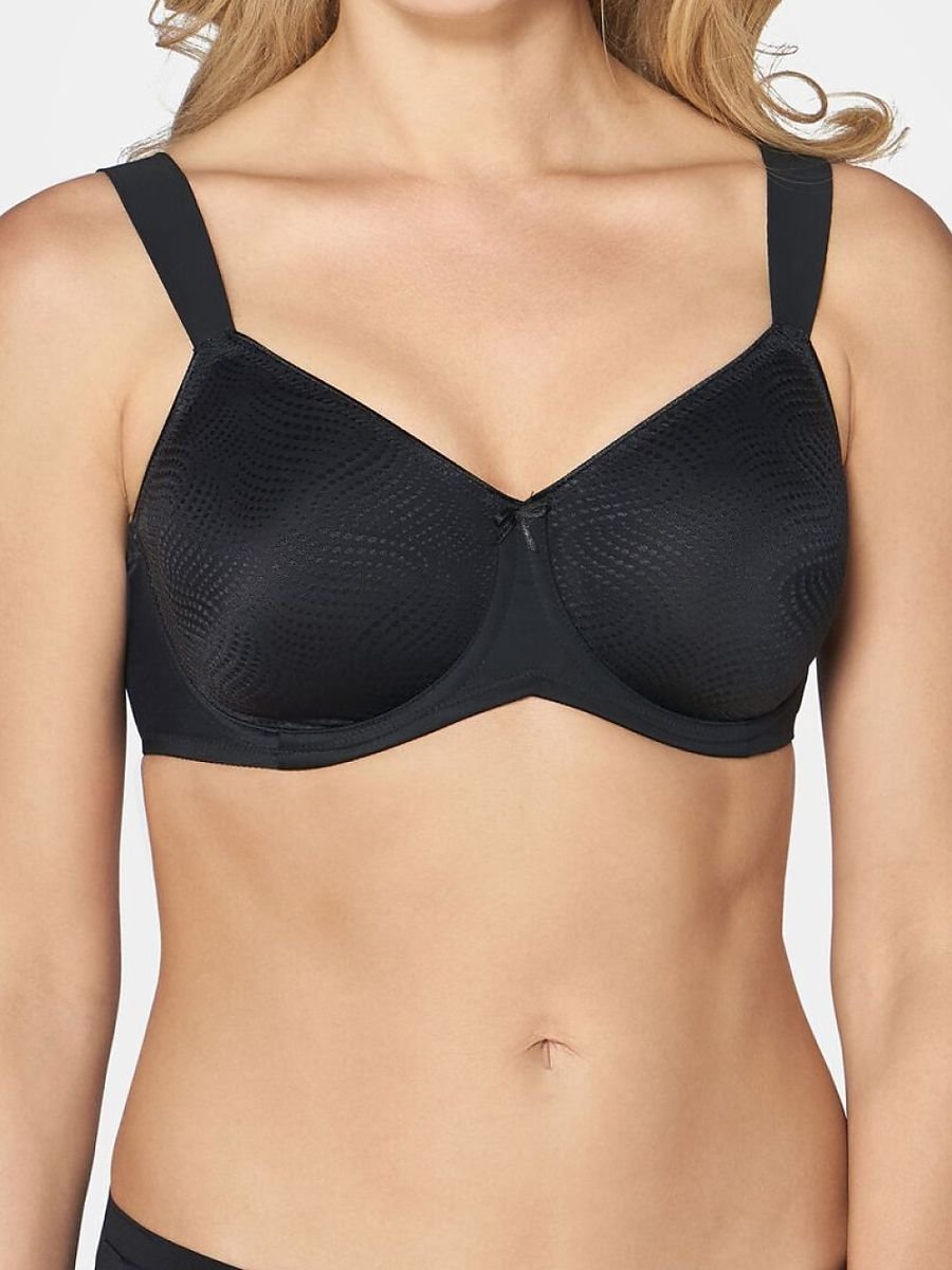 Soft model 230269 Triumph
