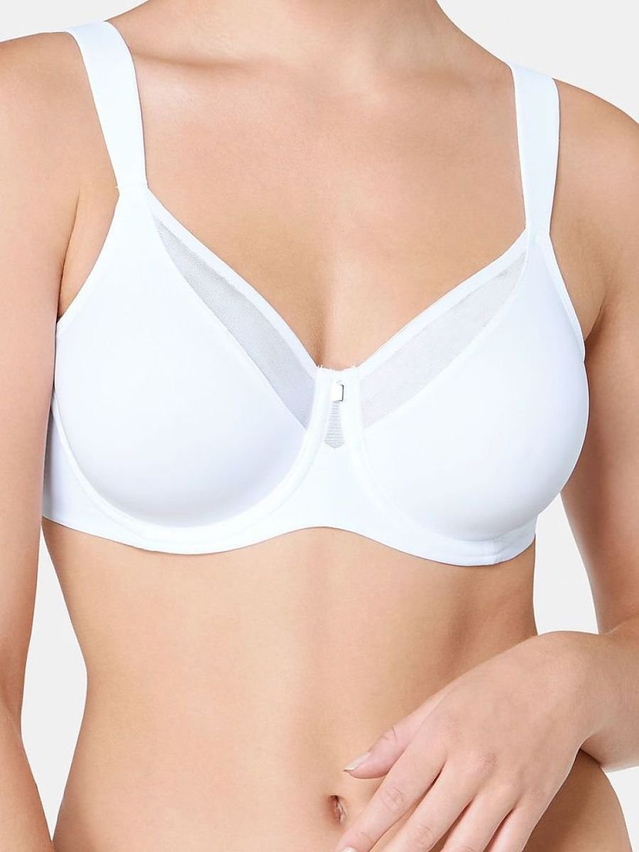 Soft model 229904 Triumph