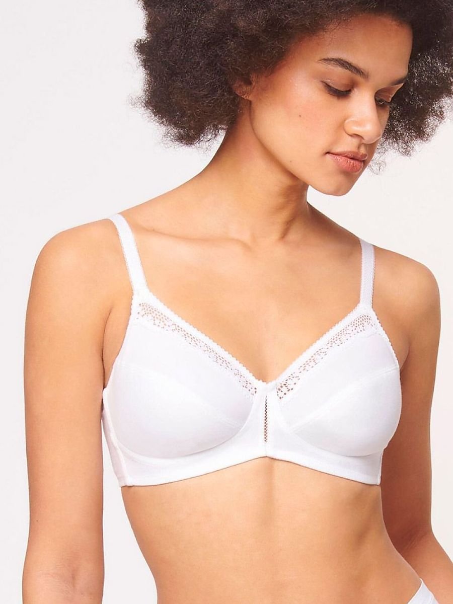 Soft model 230065 Triumph