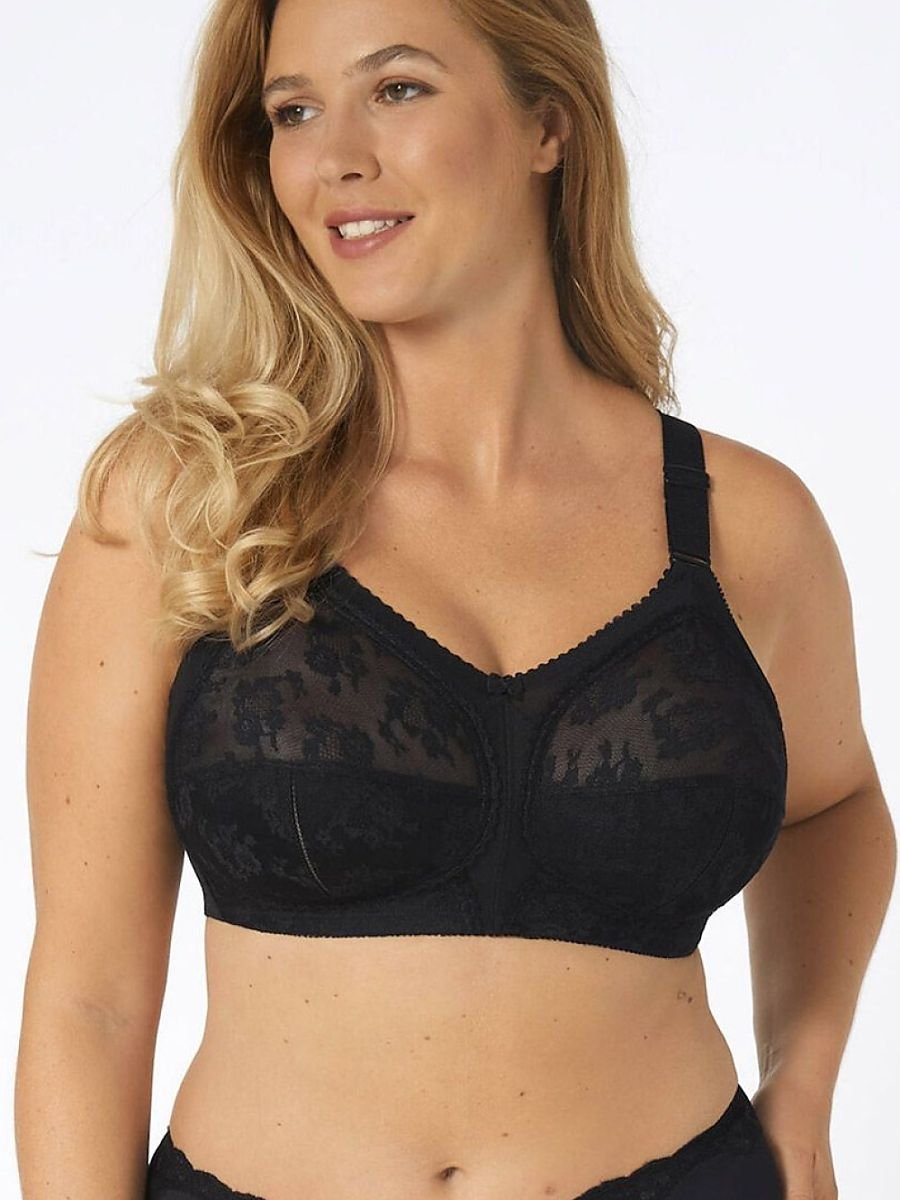 Soft model 229864 Triumph